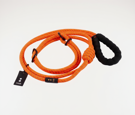 Scout All-in-1 Leash