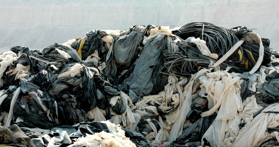 Sustainable Pet Gear: How Quality Materials Reduce Environmental Impact