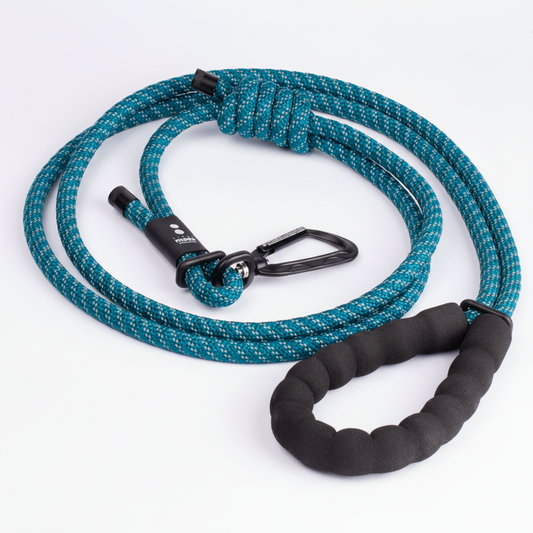 Scout Daily Leash