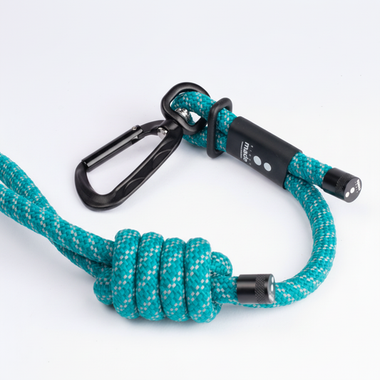 Scout Daily Leash